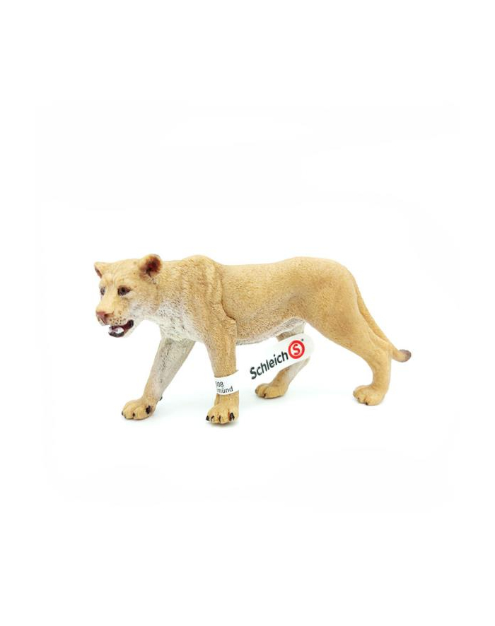 Schleich 17026 Lwica główny