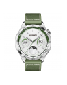 Smartphome Huawei Watch GT4 46mm (Phoinix-B19W), smartwatch (green, woven strap) - nr 24