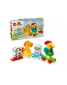 LEGO 10412 DUPLO My First Pociąg ze zwierzątkami p4 - nr 21