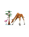 LEGO 31150 CREATOR Dzikie zwierzęta z safari p3 - nr 22