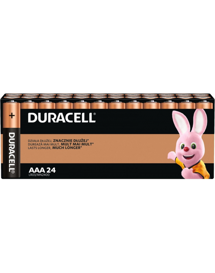 duracell Baterie Basic AAA/LR3 Blister 24 sztuki główny