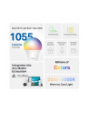 tp-link Żarówka Tapo L535E Smart Multicolor - nr 14