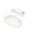 IBOX Seagull wired optical mouse - nr 3