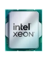 INTEL Xeon E-2456 3.3GHz FC-LGA16A 18M Cache Tray CPU - nr 7