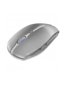 Cherry Gentix BT, mouse (silver) - nr 26