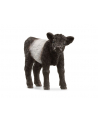Schleich 13969 Cielę rasy Galloway - nr 5