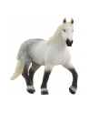 Schleich 13971 Klacz rasy Perszeron - nr 2