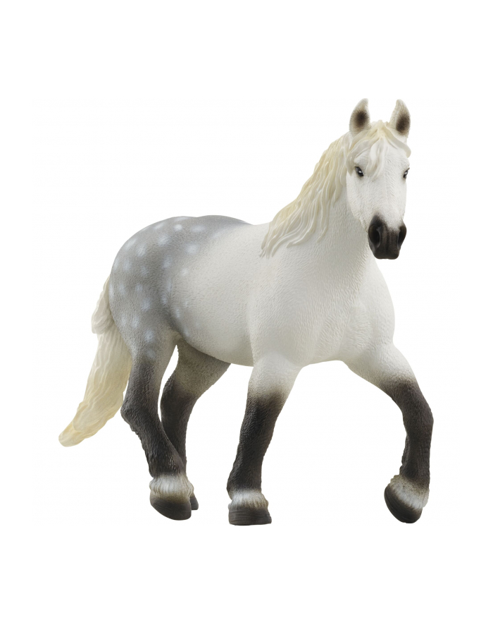 Schleich 13971 Klacz rasy Perszeron główny