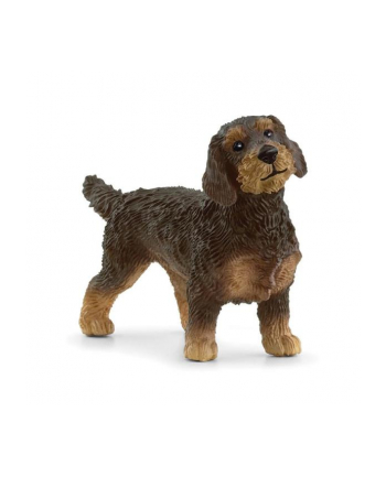 Schleich 13972 Jamnik szorstkowłosy