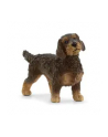 Schleich 13972 Jamnik szorstkowłosy - nr 5