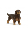 Schleich 13972 Jamnik szorstkowłosy - nr 6