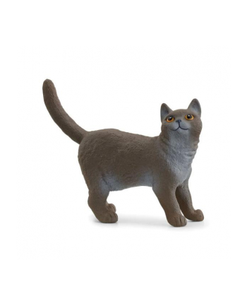 Schleich 13973 Kot brytyjski króktowłosy