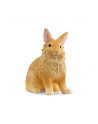 Schleich 13974 Królik lwi - nr 4