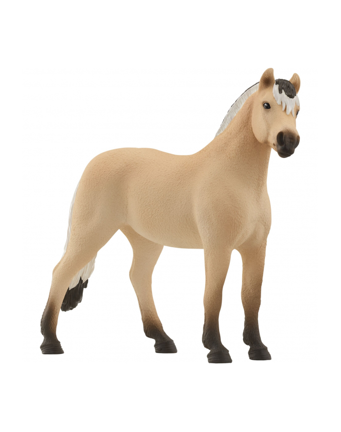 Schleich 13979 Norweski koń fiordzki wałach główny