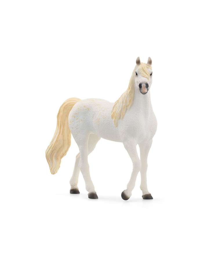 Schleich 13983 Klacz czystej krwi arabskiej główny
