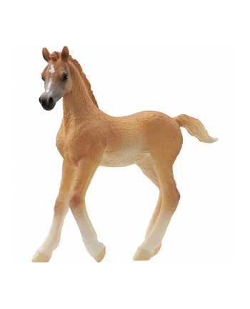 Schleich 13984 Źrebię czystej krwi arabskiej