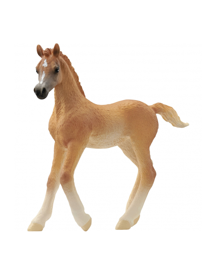 Schleich 13984 Źrebię czystej krwi arabskiej główny