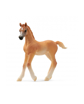 Schleich 13984 Źrebię czystej krwi arabskiej