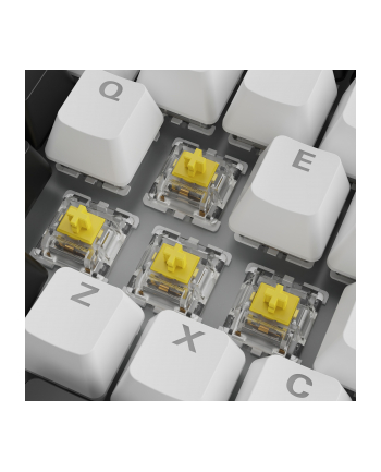 Sharkoon SGK50 S3 White, Gateron Yellow