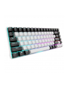 Sharkoon SGK50 S3 White, Gateron Yellow - nr 11