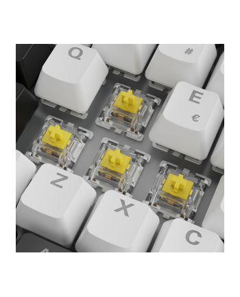 Sharkoon SGK50 S3 White, Gateron Yellow