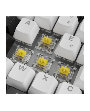 Sharkoon SGK50 S3 White, Gateron Yellow