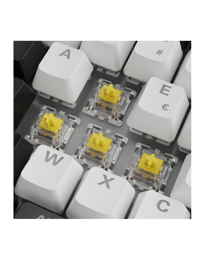 Sharkoon SGK50 S3 White, Gateron Yellow główny