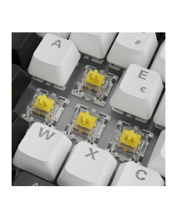 Sharkoon SGK50 S3 White, Gateron Yellow