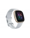 Google Fitbit Sense 2 złoty - nr 10