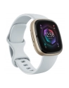 Google Fitbit Sense 2 złoty - nr 17
