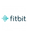 Google Fitbit Versa 4 niebieski - nr 23