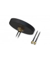 teltonika Antenna Combo Mimo Mobile Roof SMA Male IP65 PR1KCL25 - nr 1