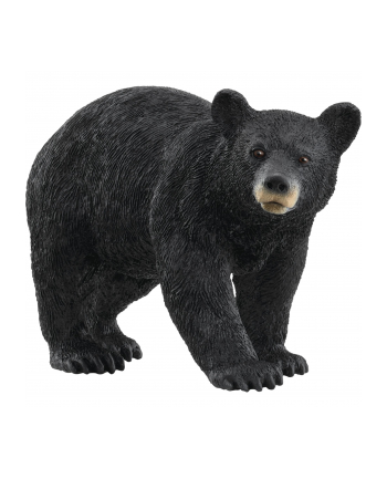 Schleich 14869 Niedźwiedź czarny Wild life nr 2