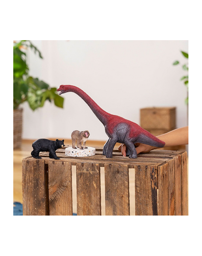 Schleich 14869 Niedźwiedź czarny Wild life główny