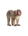 Schleich 14871 Makak japoński Wild life - nr 5