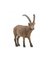 Schleich 14873 Koziorożec alpejski Wild life - nr 1