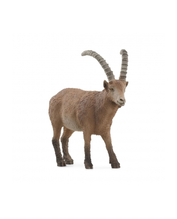 Schleich 14873 Koziorożec alpejski Wild life nr 2
