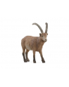 Schleich 14873 Koziorożec alpejski Wild life - nr 4