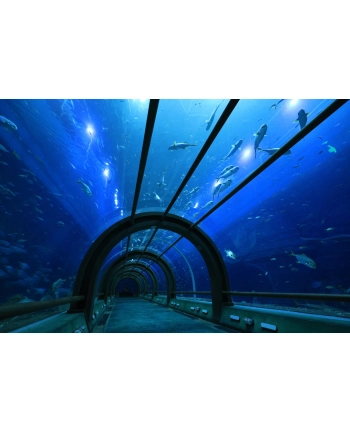 Canon RF-S 10-18 mm f/4.5-6.3 IS STM nr 1