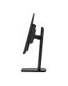 iiyama Monitor 22.5 cala XUB2395WSU-B5 IPS,PIVOT,1920x1200,DP,HDMI,VGA,16:10,2xUSB,2x2W,Freesync,HAS(150mm) - nr 84