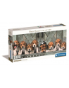 Clementoni Puzzle 1000el Panorama Beagles 39869 - nr 1