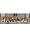 Clementoni Puzzle 1000el Panorama Beagles 39869 - nr 3