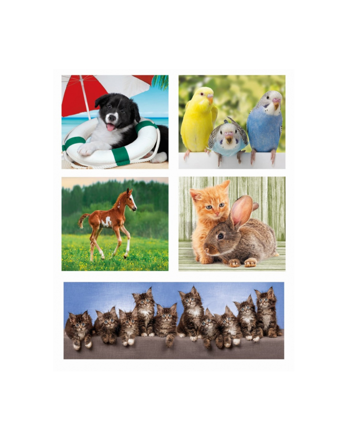 Clementoni Puzzle 10w1 Animal Friends 20283 główny