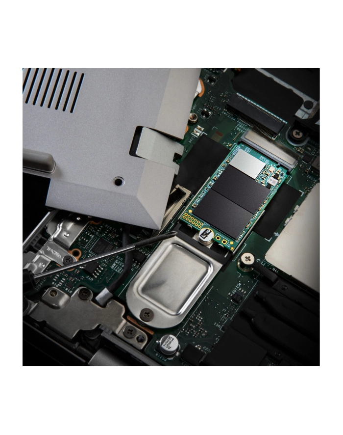 TRANSCEND 2TB M.2 2242 PCIe Gen3x4 NVMe 3D TLC DRAM-less główny