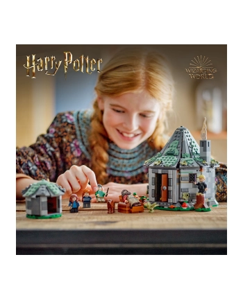 LEGO 76428 HARRY POTTER Chatka Hagrida: niespodziewana wizyta p3 nr 1
