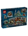 LEGO 76428 HARRY POTTER Chatka Hagrida: niespodziewana wizyta p3 - nr 5
