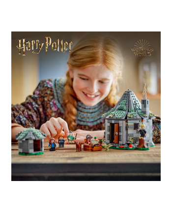 LEGO 76428 HARRY POTTER Chatka Hagrida: niespodziewana wizyta p3