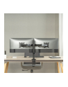 LOGILINK BP0172 Dual monitor mount 17-32inch arm length each 376 mm aluminu - nr 3