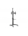 GEMBIRD Aluminum TV floor stand with caster wheels 37-70inch Kolor: CZARNY - nr 1