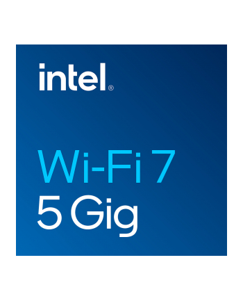 INTEL WI-FI 7 BE200 2230 2x2 BE+BT NO vPro